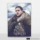 Дерев'яний постер Гра Престолів Jon Snow&trade; А4 wsgot105 фото 5