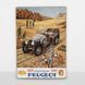 Постер дерев'яний Car Peugeot 3 А5 PSTRSBRMBL235 фото 6
