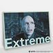 Дерев'яний постер Гаррі Поттер Лорд Волдеморт (Extreme) А4 wsncp006 фото 2