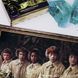 Фигурный деревянный пазл Гарри Поттер Гербология L wsph011-L фото 7